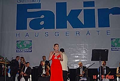 Yılbaşı Organizasyonu Sanatçı Sunucu Temini