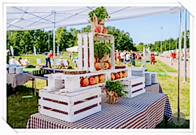 Şirket Pikniği Organizasyonu
