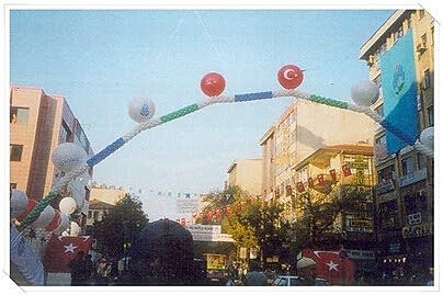 Temel Atma Organizasyonu